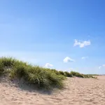 Boje 5 Schillig