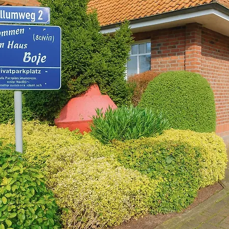 Boje 5